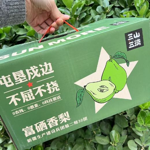 库尔勒香梨 商品图1