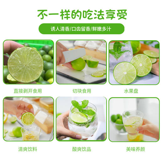 【诱人清香，口齿留香，鲜嫩多汁】青柠新鲜水果 塔希提无籽香水柠檬一箱 奶茶榨汁饮品店原料 产地直发-QQ 商品图4
