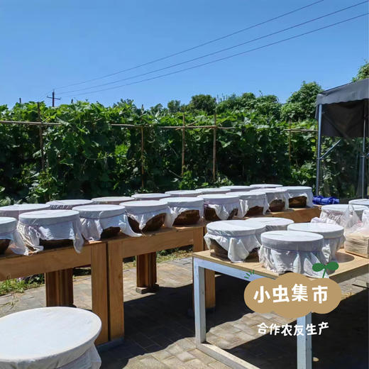 生态西瓜豆酱258g/瓶 | 合作农友生产，产自河南洛阳，生产者：崔为敏 *【公平贸易农人定价】 商品图12