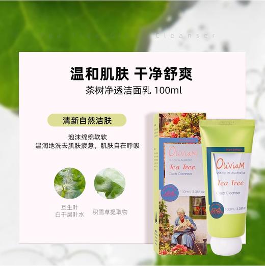 唐恩限时团：澳洲进口Oliviam澳莉维亚花甜喜事茶树洗护六件套礼盒 商品图5