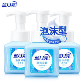 蓝月亮  琥珀雪松泡沫抑菌洗手液255g*3