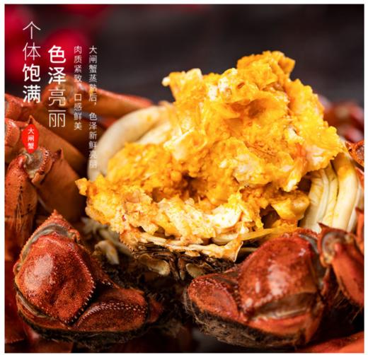 蟹之霸 鲜活蟹（公蟹 3.5-3.9两*5只 母蟹 2.5-2.7两*5只） 商品图0