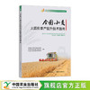 全国小麦大面积单产提升技术指南【官方正版，可开发票】 商品缩略图0