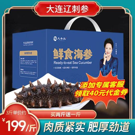优选丨【无冰鲜食辽参】久参岛 8-10头大连辽刺参 海参刺参冷冻鲜食独立包装 500g/袋 商品图0