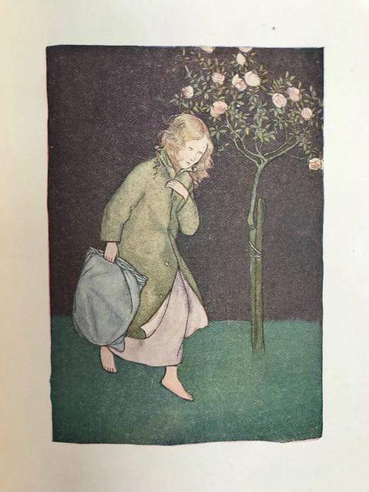 约20世纪中期 双胞胎与塔比法 皮尔斯数十幅彩色插图 精装32开 商品图7