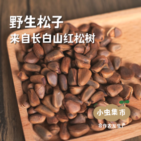 长白山野生松子 | 合作农友生产，产自东北吉林长白山，生产者：小西 &【公平贸易农人定价】