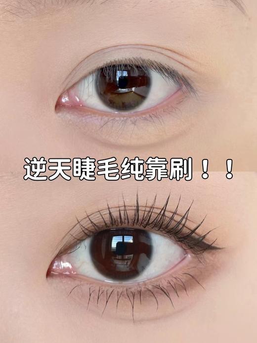 三资堂睫毛膏女防水纤长卷翘不晕染钢管眼睫毛打底膏定型液 商品图5