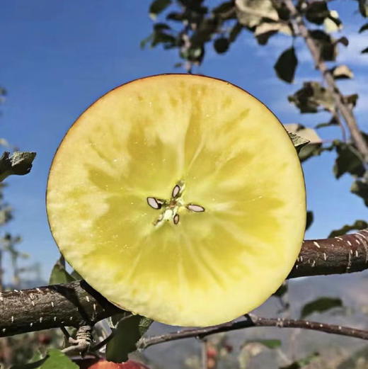 新疆阿克苏冰糖心苹果 1件约9斤 脆爽多汁 商品图6