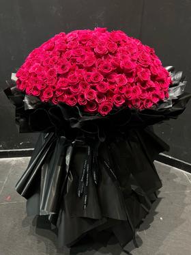 高端定制生日情人节花束弗洛伊德520朵