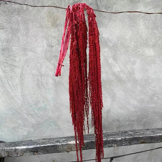 永生花吊米1扎 商品图1