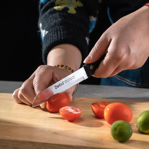 德铂恩斯贝格(套装刀具)DEP-62 商品图0