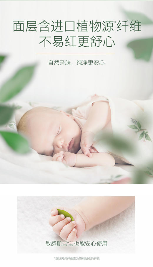 【盼盼专享】好奇森林密语纸尿裤NB-XL 商品图1