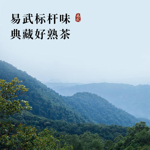 2024年易武典藏熟茶普洱茶干花香易武标杆味 商品图3