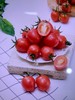 圣女果每公斤 商品缩略图0