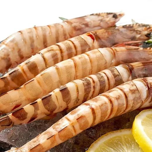 朝一集鲜深海红明虾/竹节虾500g10只 商品图3