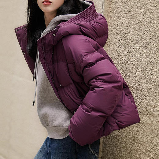 酱紫鹅绒服！2024 蓬松泡芙95白鹅绒 高级感连帽短款羽绒服冬季新款女装！ 商品图3
