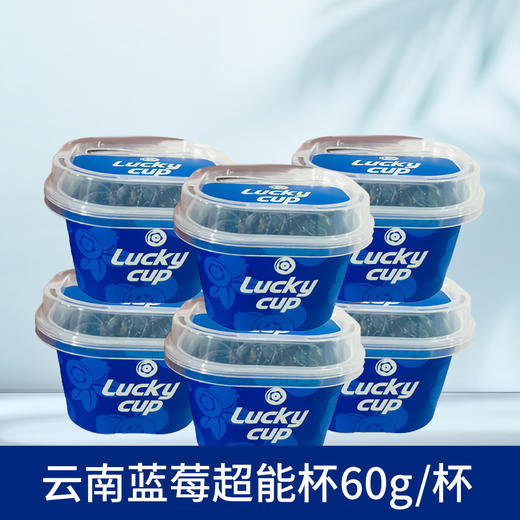 【秒杀】云南蓝莓超能杯6杯（60g/杯） 商品图0