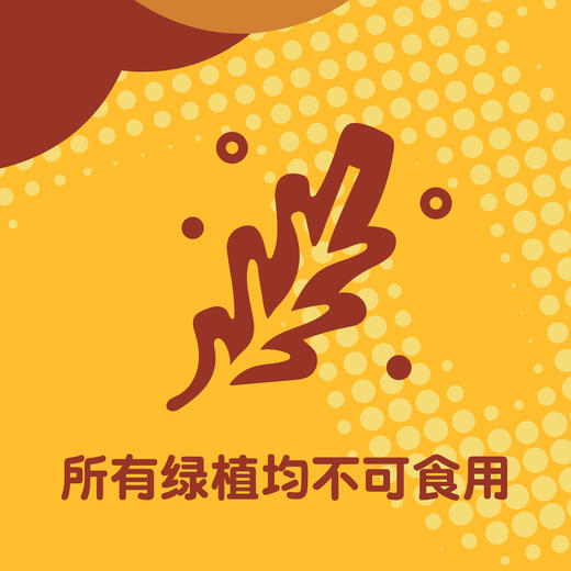 所有绿植均不可食用 商品图0