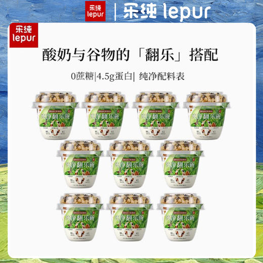 乐纯纯净酸奶0蔗糖翻乐碗代餐下午茶 商品图0