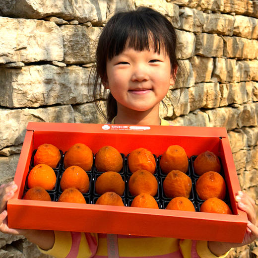 【软糯流心 甜蜜爆浆！】物本源半干流心冰柿 产地直采香甜鲜食柿饼 送礼佳品礼盒装 顺丰冷链发货 商品图7