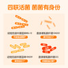 KJ 益小宝即食型益生菌  20袋装 商品缩略图1