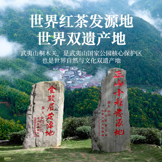 正山堂 水底香红茶单罐礼盒装 正山小种特级正宗武夷红茶叶送礼100g/200g 商品图3
