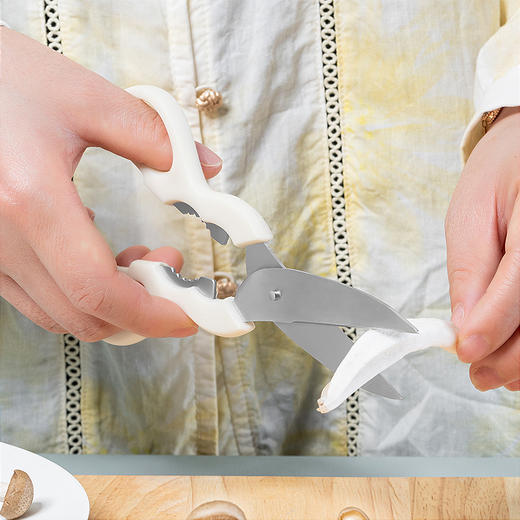 德铂康威(厨房用具)DEP-866 商品图4