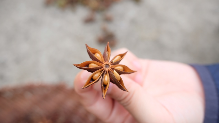 八角·广州汇耕田