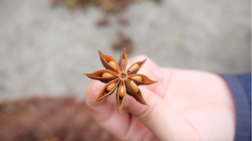 八角·广州汇耕田