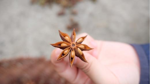 八角·广州汇耕田 商品图0