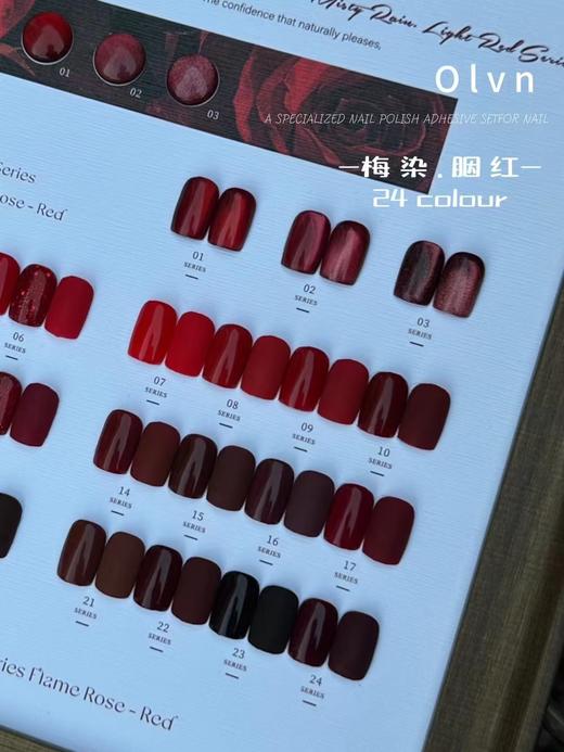 鸥璐 梅染.胭红 24色套装 配色板 商品图1