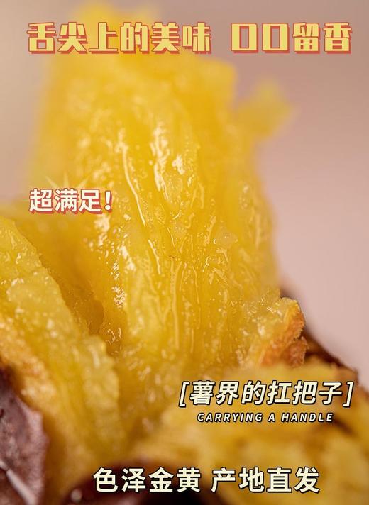39.9到手4斤特香中小果 日系品种-【番薯中的爱马仕-玛莎莉黄金蜂蜜薯】肉质金灿灿，口感细腻，无筋无丝，软糯嫩滑，国家地理标志产品，现摘现发 商品图6