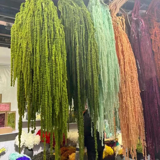 永生花吊米1扎 商品图3