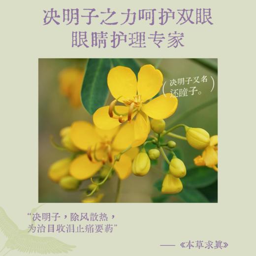 【真不二】真不二丹系列红豆决明子眼罩×福禄/艾虎宝枕套组 商品图3