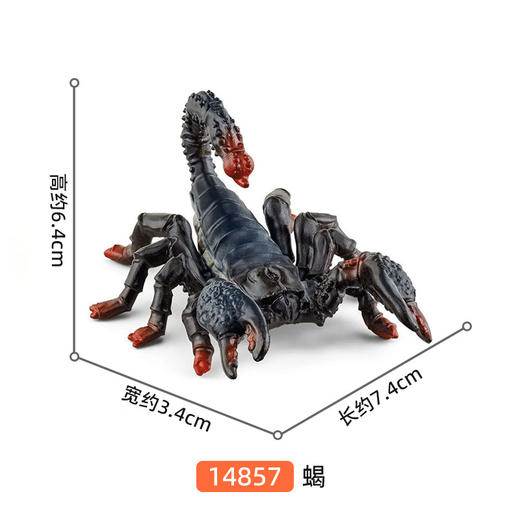 思乐 蝎SCHC14857 商品图1