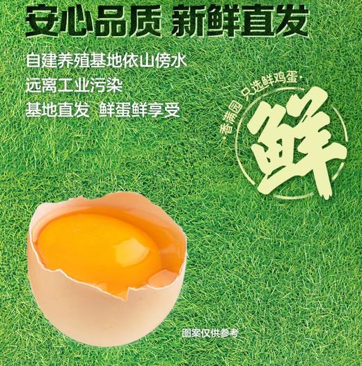 香满园可生食鸡蛋20枚装NSF和可生食双认证 商品图1