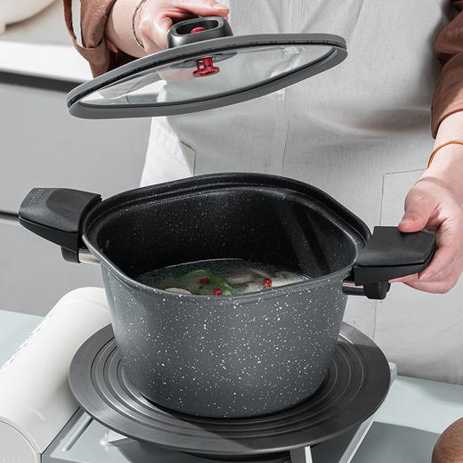 德铂格雷斯曼（微压锅）DEP-878 商品图3