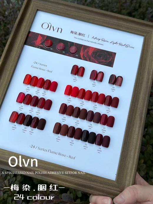 鸥璐 梅染.胭红 24色套装 配色板 商品图2