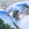 燕语双燕朝阳生茶龙珠铁罐装100g 商品缩略图6