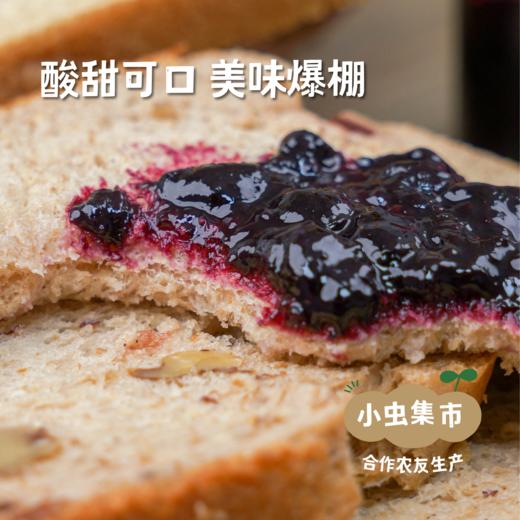 野生蓝靛酱 165g/罐 | 合作农友生产，产自黑龙江大兴安岭，生产者：柳树 &【公平贸易农人定价】 商品图2