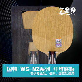 729 内置纤维底板 国特 WS-NZ 系列 进口黄芳碳 专业队 省队 国家队使用