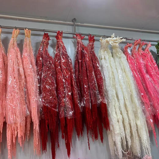 永生花吊米1扎 商品图0