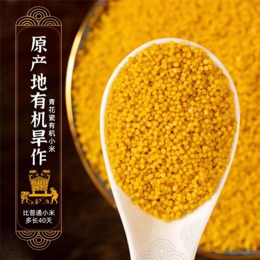 “养生之道,五谷为先.五谷杂粮,小米为王”，中国小米看山西，山西小米看沁州，明清两代，皇家贡米！米中珍品，康养佳品，中国好小米，“金珠不换”的沁州ᴿ沁州黄ᴿ，能把黄小米做到如此极致的也只有沁州黄了~ 商品图3