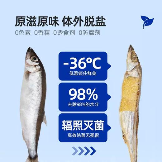 着迷零食冻干 多口味可选 猫狗通用 人食级别 原切鲜肉营养可口 商品图9