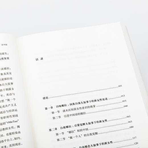 “娜拉”在中国：新女性形象的塑造及其演变，1900—1930年代(许慧琦 著) 商品图4