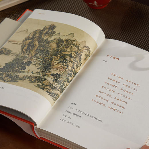 《唐诗三百首》《宋词三百首》函套典藏版 | 打开了一座“诗词博物馆” 商品图2