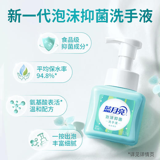 蓝月亮  泡沫洗手液-薄荷255ml*2 商品图1