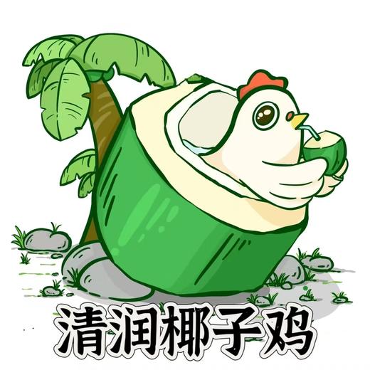 狗主食鲜粮 清润椰子鸡200g一包装/制熟发货常温保存开袋即食 商品图0