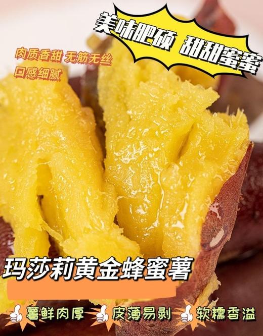 39.9到手4斤特香中小果 日系品种-【番薯中的爱马仕-玛莎莉黄金蜂蜜薯】肉质金灿灿，口感细腻，无筋无丝，软糯嫩滑，国家地理标志产品，现摘现发 商品图0