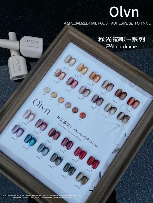 鸥璐 秋光猫眼-系列 24色套装 配送色板 商品图2